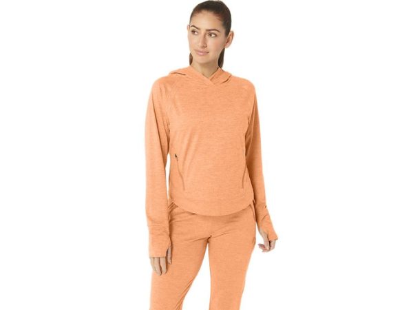 Threadharbor.shopaacd238329 1