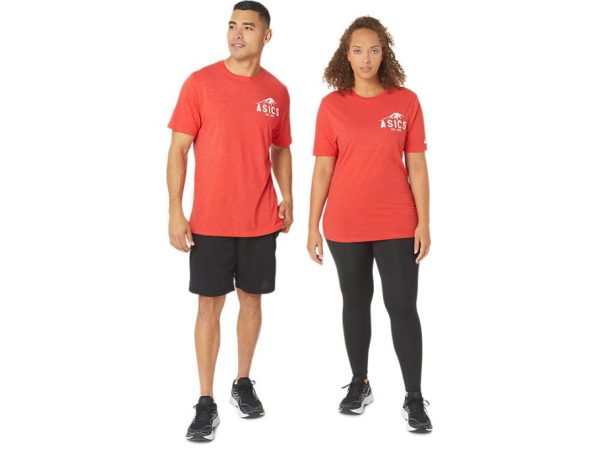 Threadharbor.shopd48d1ba046 2