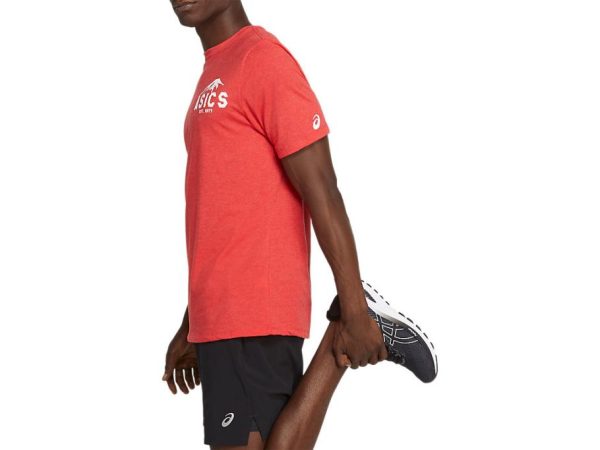 Threadharbor.shopd48d1ba046 5